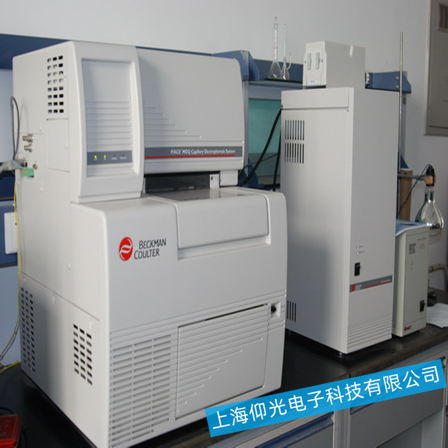 ë��(x��)���Ӿ�x���F(xi��n)�o�Ӿ�������ô�Ų�ԭ����